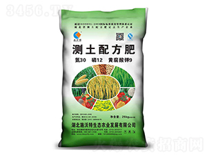 �y���䷽��30-12-9-ʩ����