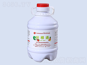 �Ѹ�ͨ-��ЦȻ