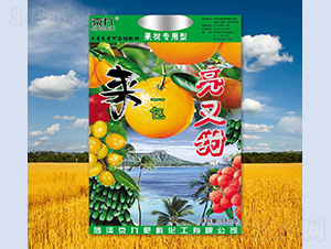 ��һ��������-����