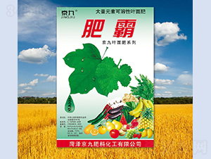 �ʰ�-����