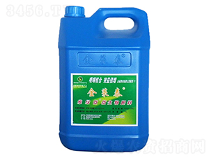 �S�G΢��΢�������-���R̩