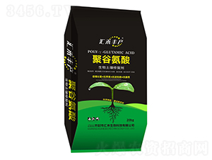 �۹Ȱ������������ޏ�(f��)��-�R���S�a(ch��n)