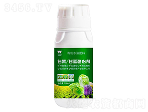 �ײ������{(l��n)���Ą�-�֠���(y��u)