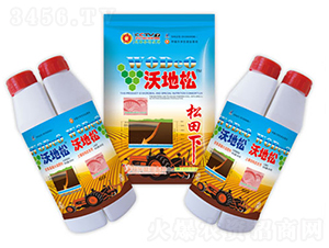 �ֵ���-ʢ������