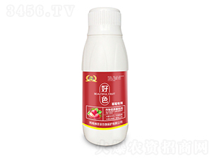 ��ݮ��(zhu��n)���~���-��ɫ-�������r(n��ng)