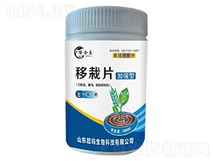 ����Ƭ���׷�ʭ���E�R�����x(ch��ng)��Ч��-���Ϙ�(l��)-�ڬ�����