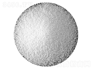 ����-��������