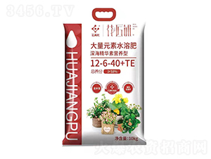 ����A�ؠI�B(y��ng)�ʹ���Ԫ��ˮ�ܷ�12-6-40+TE-�����-���V