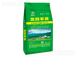 �l(f��)����S-�l(f��)ؔ(c��i)��