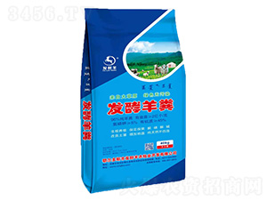 �l(f��)����S���{(l��n)��-�l(f��)ؔ(c��i)��