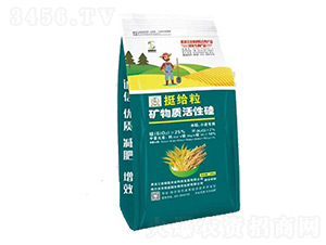 ͦ�o���V���|(zh��)���Թ�-�T���r(n��ng)�I(y��)