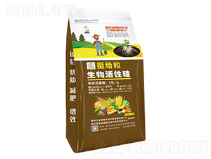 �������ͨ����-ͦ�o��������Թ�-�T���r(n��ng)�I(y��)