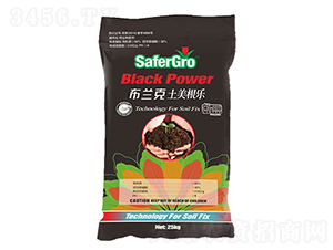 ���m�������ޏ�(f��)��-�՝�����