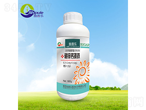 ���\�}�V�F-����-ʩ�՘�(l��) 