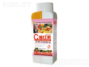 �߼t���~���-��������