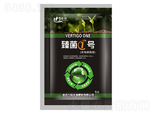 ���1̖(h��o)-��������