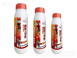 �����ɫø-��������