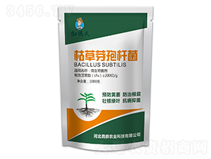 �ݲ�ѿ�ߗU��-�ӵ·�-��Ⱥ�r�I(y��)