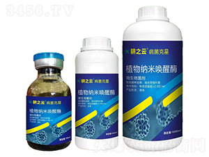 ��������-ֲ��{�׆���ø-�ʢ����