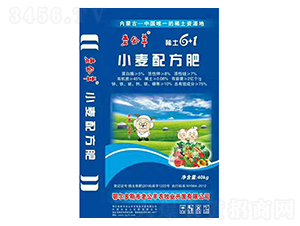 С���䷽��-�Ϲ���-����