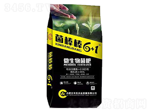 ΢�������-������6+1-����