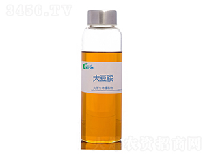 �󶹰�-������ԭ��-��Ԫ��