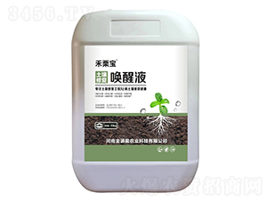 �����ޏ͆���Һ-������-��Mӯ