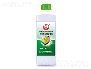 ���ز�����������-���S�@-�̘�����