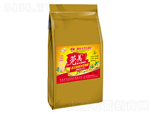 ������(zhu��n)���Ͷ�Ԫ�ؠI(y��ng)�B(y��ng)ƽ���-ݸ��-�Ѻ����r(n��ng)