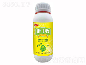 ���S��-ҫѸ�w�r�I(y��)