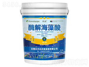 ΢¶-ø�⺣����-���컯�r(n��ng)�Y