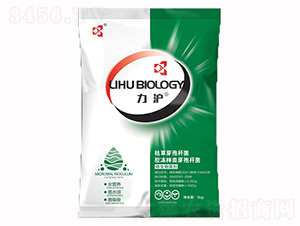 ΢�������-��������