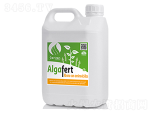 ����̼���-����-�����m��