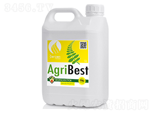 ���E������̖-���ο��Է۽�-�����m��