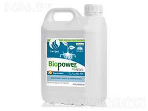 ����̼���-�ۏ���-�����m��