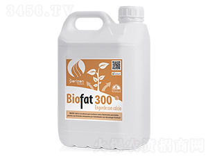 ����̼���-����-�����m��