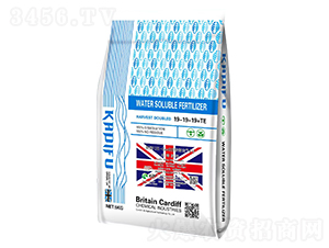 Ӣ��(gu��)UK-Cardiff���î�1̖(h��o)ˮ�ܷ���19-19-19+TE-���Ϸ� 