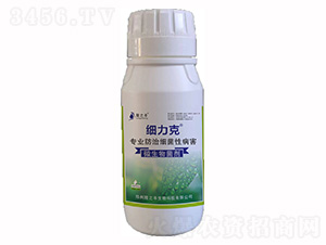 ������΢�������-¡֮�S