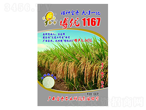 ����(y��u)1167-ˮ���N��-���r(n��ng)�I(y��)