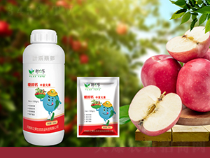 �Ǵ��}����Ԫ��-�~֮��-�~������