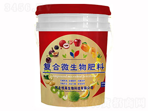 �ͺ�΢�������-����