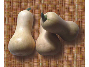 �V��8̖(h��o)�����Ϲ�-�ϹϷN��-�V��