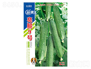 ����9̖-�S�ϷN��-�ٹ��R-���~���H