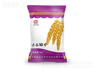 ���10̖-���ӷN��-�����N�I(y��)