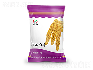 ���9̖-���ӷN��-�����N�I(y��)