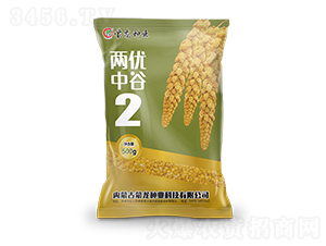 �Ƀ�(y��u)�й�2-���ӷN��-�����N�I(y��)