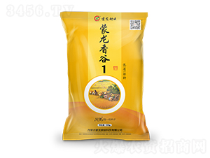 �������1-���ӷN��-�����N�I(y��)