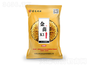 ����K1���S��-���ӷN��-�����N�I(y��)