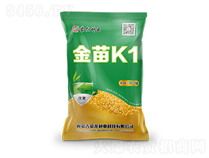 ����K1-���ӷN��-�����N�I(y��)