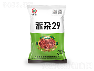 ���s29-�����N��-�����N�I(y��)